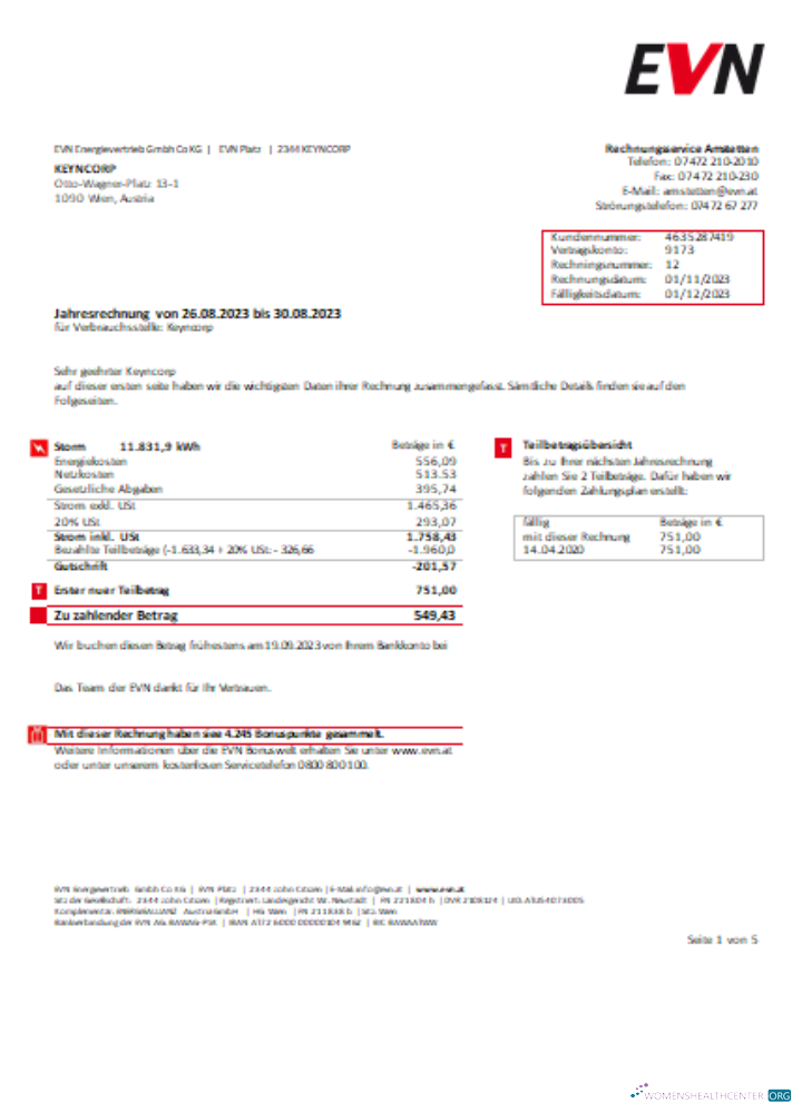 Download EVN electricity utility business bill, page 1 SCR Photoshop template